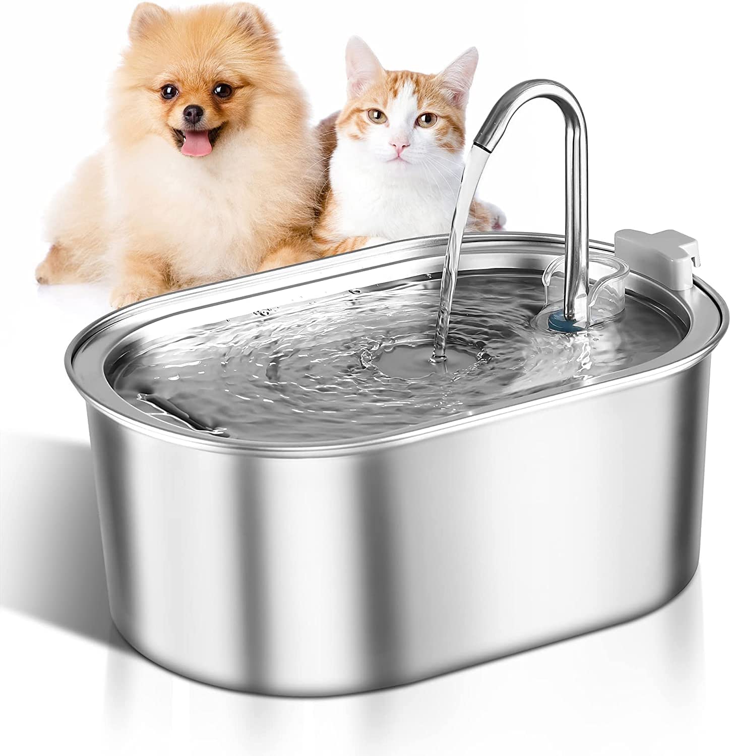 Pet Filtered Water Fountain