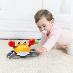 Crawling Crab Sensory Toy