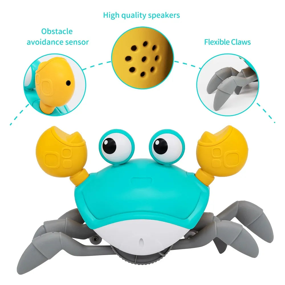 Crawling Crab Sensory Toy