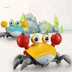 Crawling Crab Sensory Toy