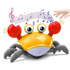 Crawling Crab Sensory Toy
